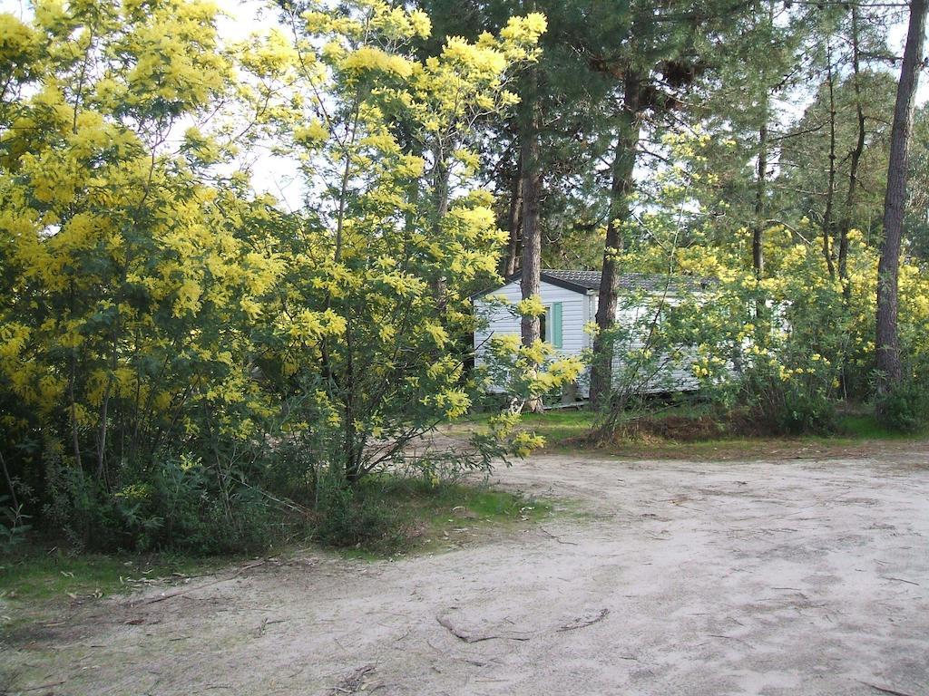 Residence Santa Ghisonaccia Buitenkant foto